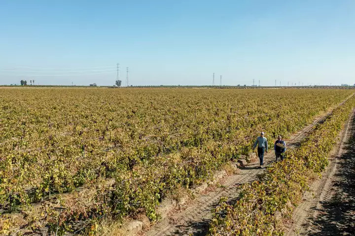 California’s farm belt sees thirstier crops – and more pressure on water supplies